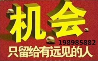 代理中的戰斗機 hz代理小顏，助您領航商海新高度